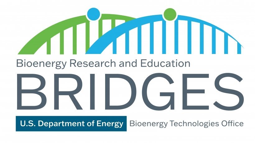 BRIDGES