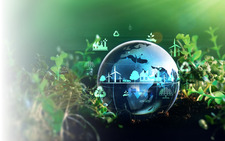 A globe in the forest