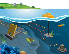 Illustration of ocean life and various marine energy devices