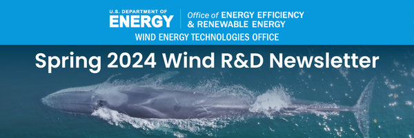 top of whale with text that reads "Spring 2024 Wind R&D Newsletter"