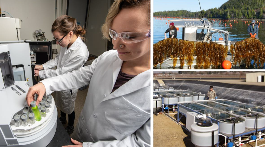 Sustainable Transportation and Fuels collage