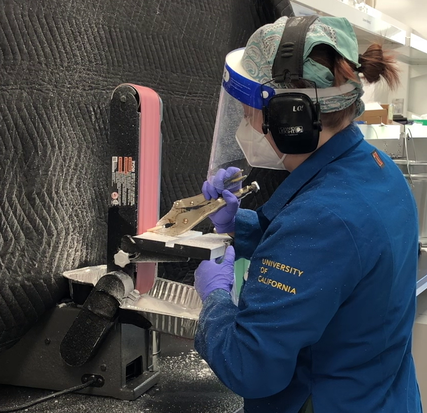 Image for Algenesis blog