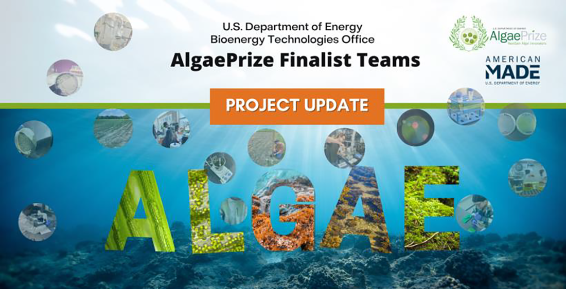 Algae Prize Finalist Teams Project Update graphic
