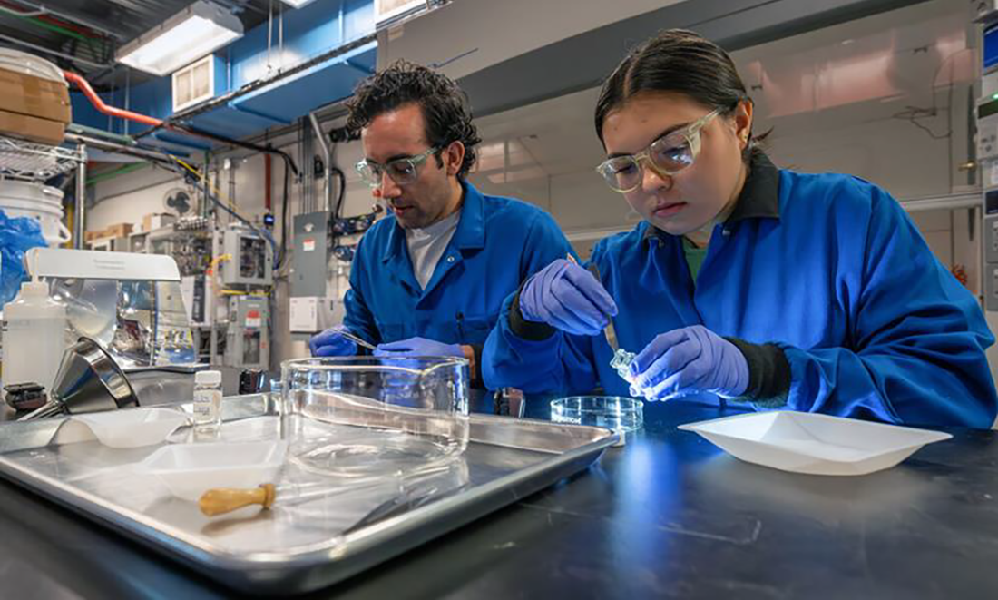 NREL researchers use tweezers to remove plastic debris from samples from the Delaware River for analysis.