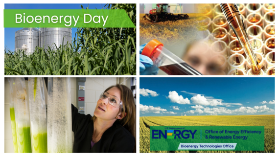 Bioenergy Day