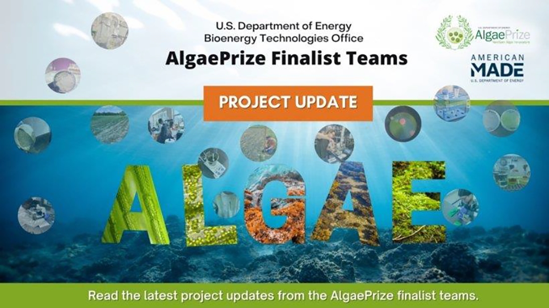 AlgaePrize Finalist Teams Project Update graphic with underwater background image.