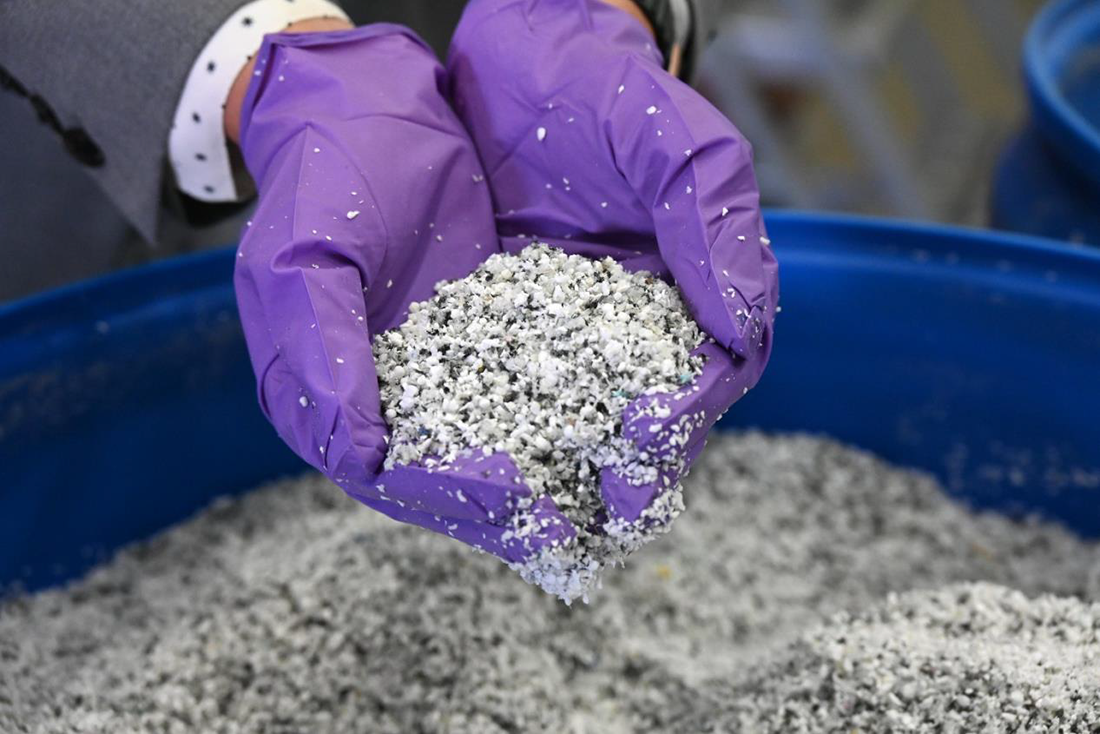 Purple gloved hands lift feedstock samples out of a container.