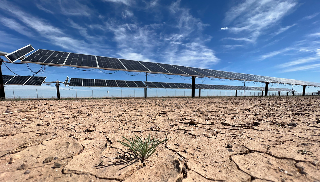 Solar panels in desert