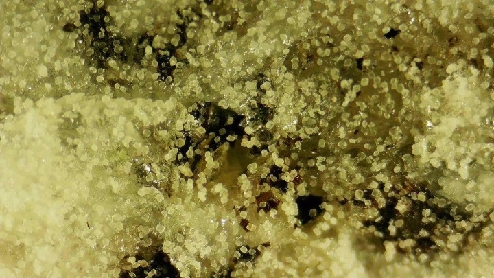Calcite crystals on a core fracture. Credit: Montana State University