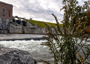Photo of plant with a hydropower facility located in the background