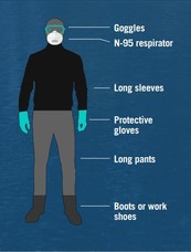 Image of a Person Using Personal Protective Equipment