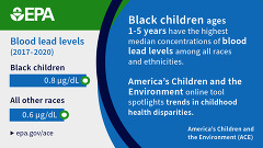 Black children have the highest blood lead levels among all races and ethnicities. Black Children: .8µg/dL. All other races: .6 µg/dL.