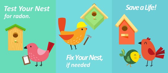 Test your nest! Colorful birds and bird houses.