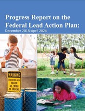 Federal Lead Action Plan Progress Report 