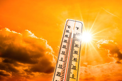 Thermometer