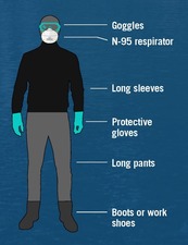 Personal Protective Equipment