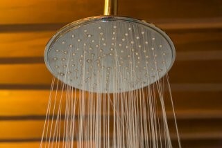 Showerhead - Legionella