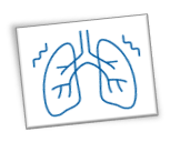 lungs icon