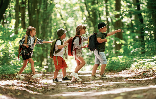 Children walking through the forest