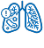 Respiratory icon