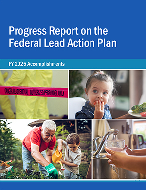 FY2025 Progress Report on the Federal Lead Action Plan