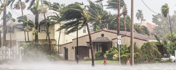 hurricane