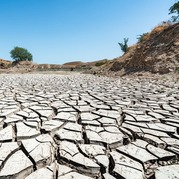 drought