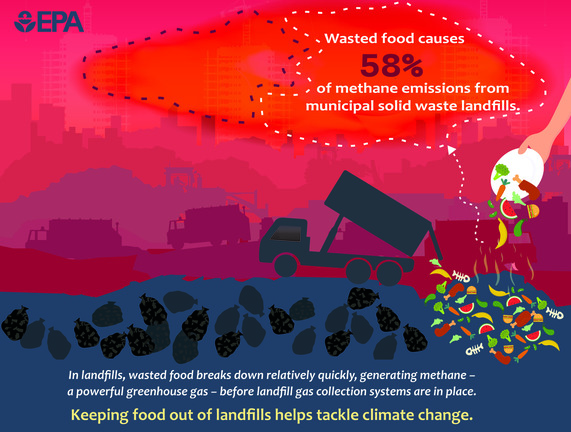 The Main graphic from the Landfill Methane Reprot. it shoes how wasted food causes 58% of methane emissions from muncipal solid waste landfills