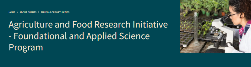 screenshot form USDA website promoting the Agriculture and Food Research Initiative - Foundational and Applied Science Program