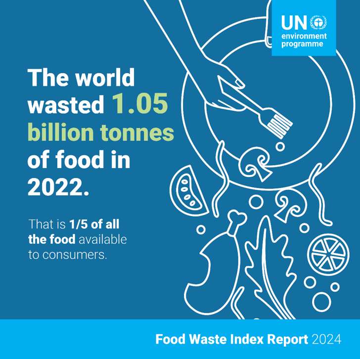 UNEP graphic that depicts how 1/5 of all the avialable food is wasted.