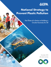 screenshot of the National Strategy to Prevent Plastic Pollution