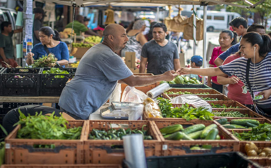 Person selling produce at Farmer's Market