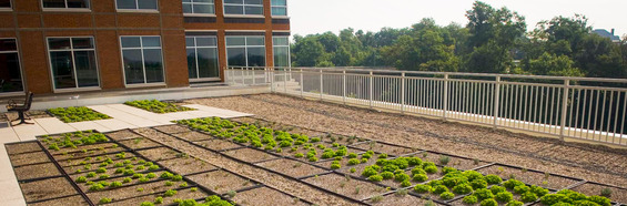 Rooftop green space.