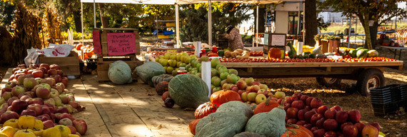 Farmers market with dozens of different types of fruits and vegetables laid out on tables. 