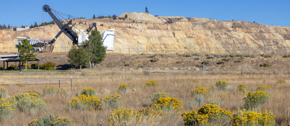 View of work in Butte with fox