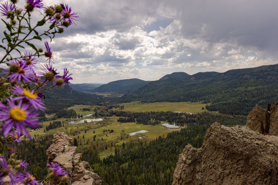 Bonita Peak Superfund Site