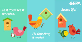 Test Your Nest for Radon!
