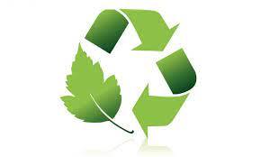 Green Sustainable Logo