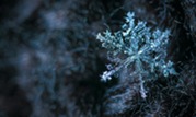Close-up of a snowflake on a dark background