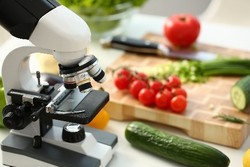 vegetables pictured with a microscope