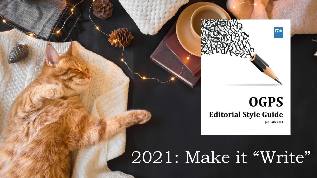 A cat laying next to the "Editorial Style Guide"