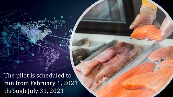 image of salmon with embedded text about the second phase of AI in relation to seafood