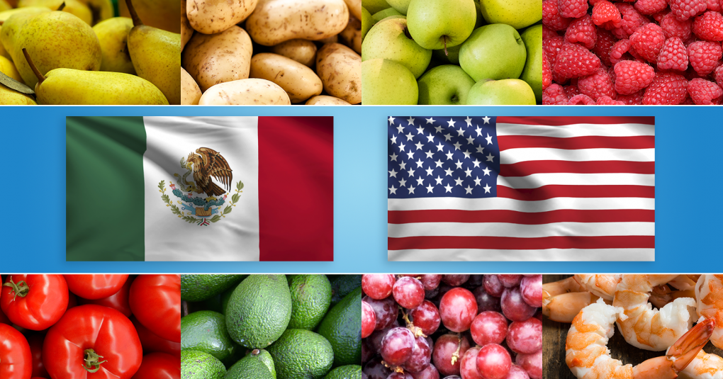 US-Mexico-Flags-Food-Collage-FDA-Voices