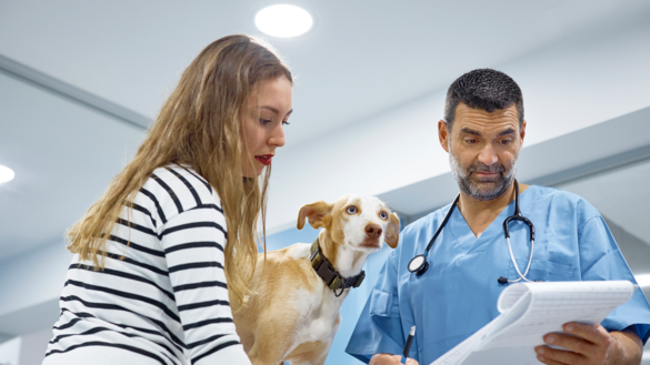 Medication Errors Happen to Pets, Too