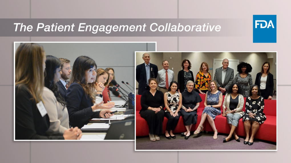 The-Patient-Engagement-Collaborative