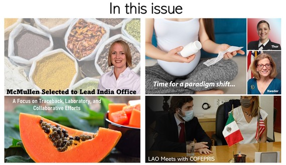 collage of four articles within this issue