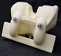 3D-printed vertebrae