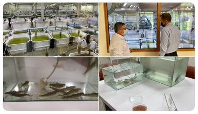 Salmon hatchery and lab tour
