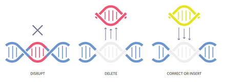 CRISPR gene editing
