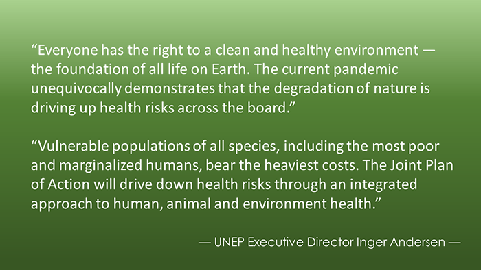 Quote card from UNEP's Andersen